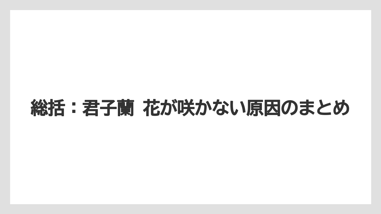 【栽培】【農園】【農業】総括：君子蘭 花が咲かない原因のまとめ