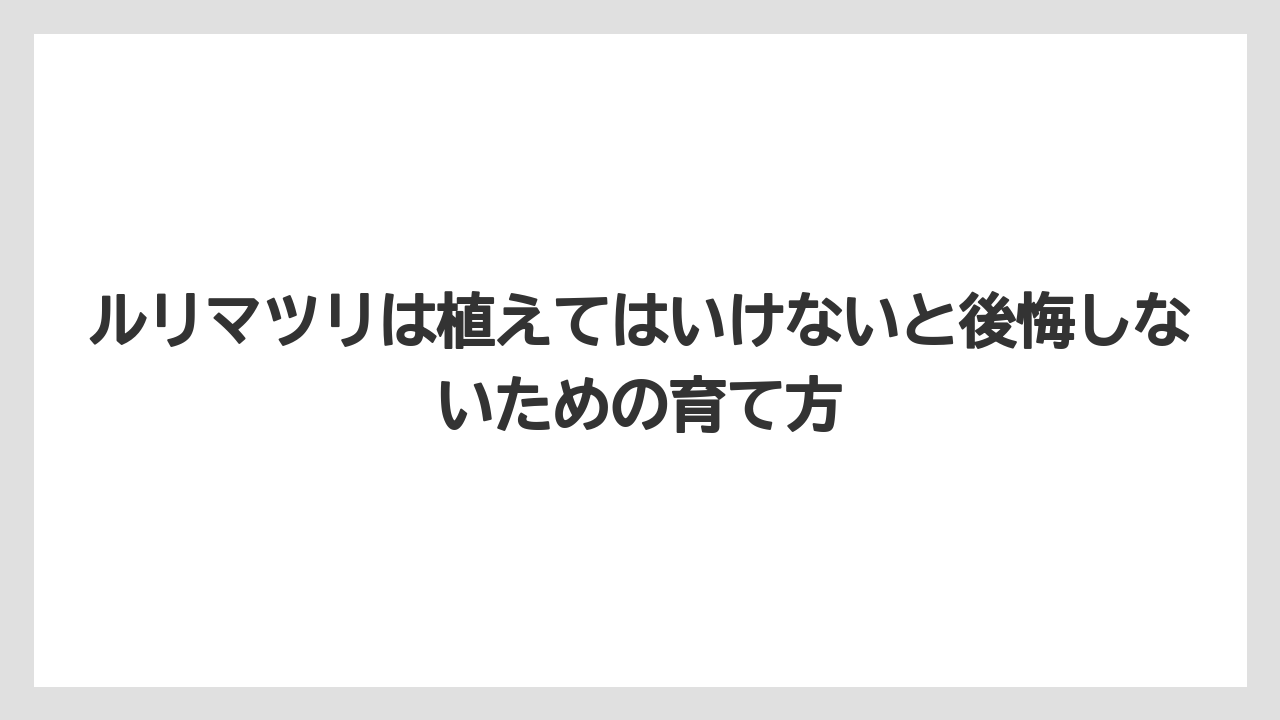 【いけない】【後悔】【栽培】【植え】ルリマツリの地植え方法は広い場所と根止めを前提にすること