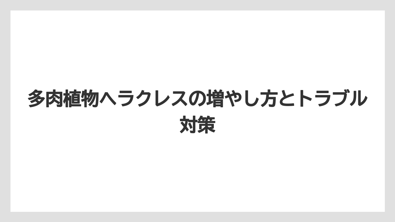【100均】【エケベリア】【バラ】【多肉植物】【栽培】日当たりは必要だが夏の直射日光は子株に強すぎること