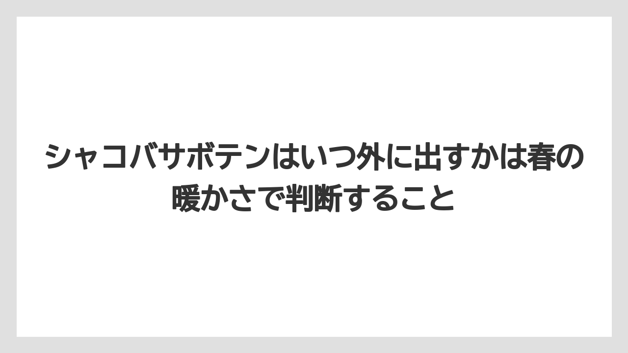 【サボテン】【栽培】【農業】シャコバサボテンはいつ外に出すかは春の暖かさで判断すること