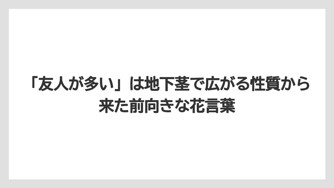 【栽培】【花】【葉】「友人が多い」は地下茎で広がる性質から来た前向きな花言葉