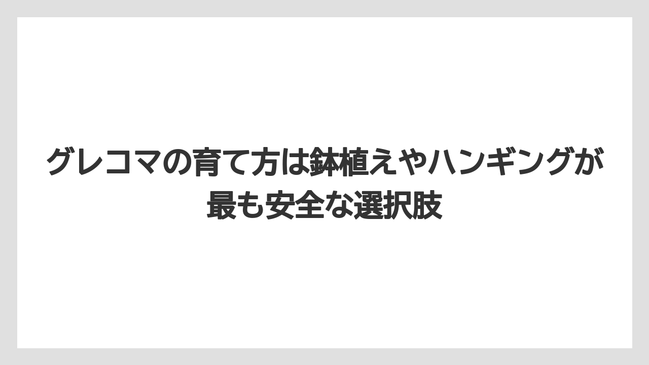 【栽培】【農園】【農業】グレコマの育て方は鉢植えやハンギングが最も安全な選択肢