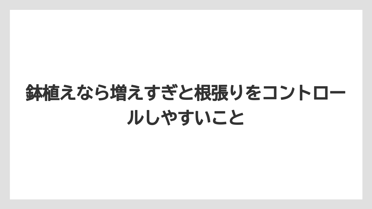 【栽培】【農園】【農業】鉢植えなら増えすぎと根張りをコントロールしやすいこと