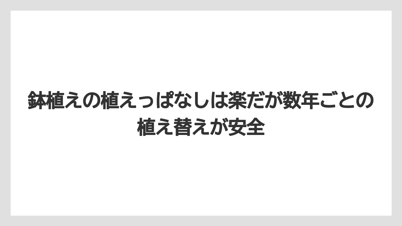 【栽培】【農園】【農業】鉢植えの植えっぱなしは楽だが数年ごとの植え替えが安全