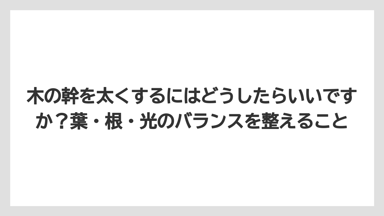 【パキラ】【栽培】【農業】木の幹を太くするにはどうしたらいいですか？葉・根・光のバランスを整えること