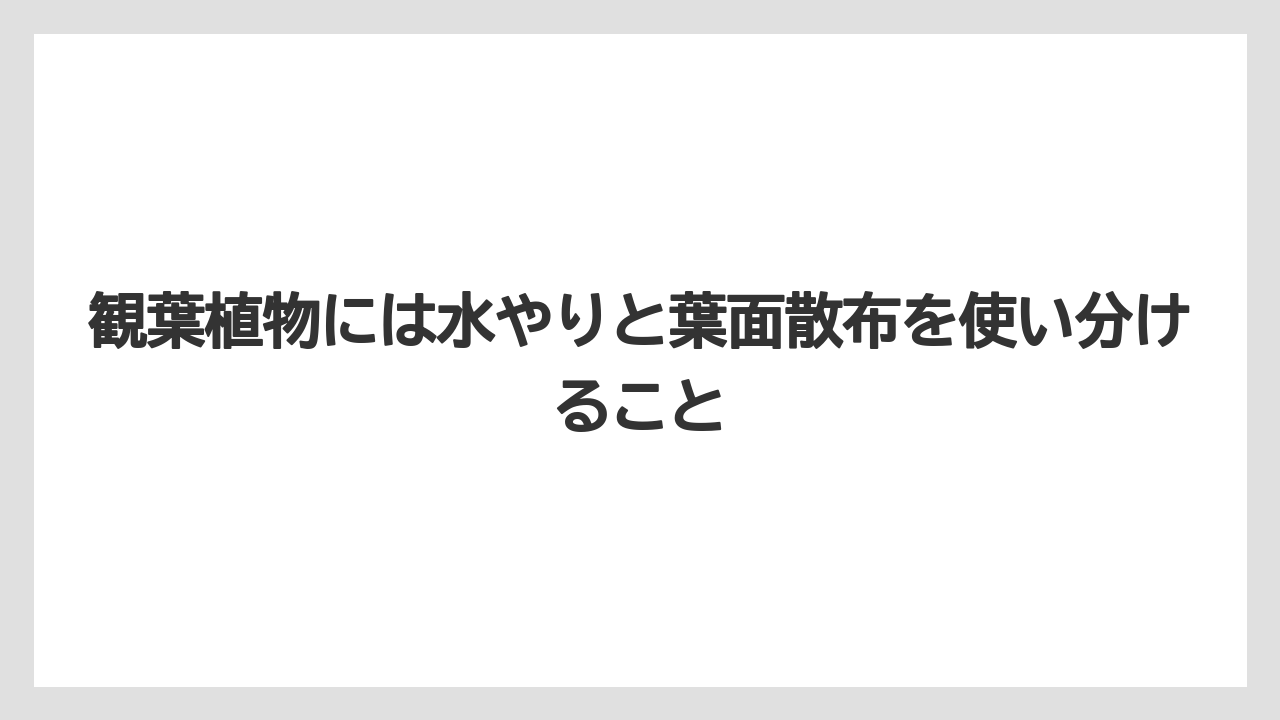【メネデール】【栽培】【農業】観葉植物には水やりと葉面散布を使い分けること
