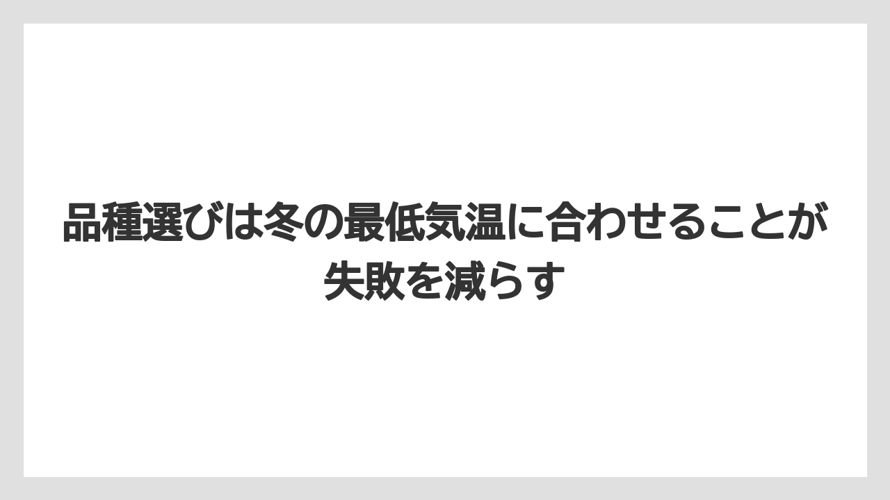 【栽培】【農園】【農業】品種選びは冬の最低気温に合わせることが失敗を減らす
