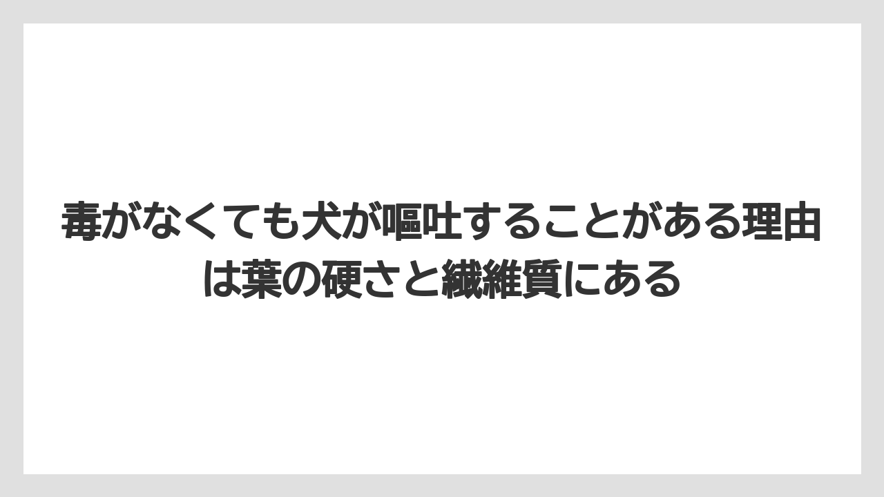 【シマトネリコ】【庭】【栽培】【毒】毒がなくても犬が嘔吐することがある理由は葉の硬さと繊維質にある
