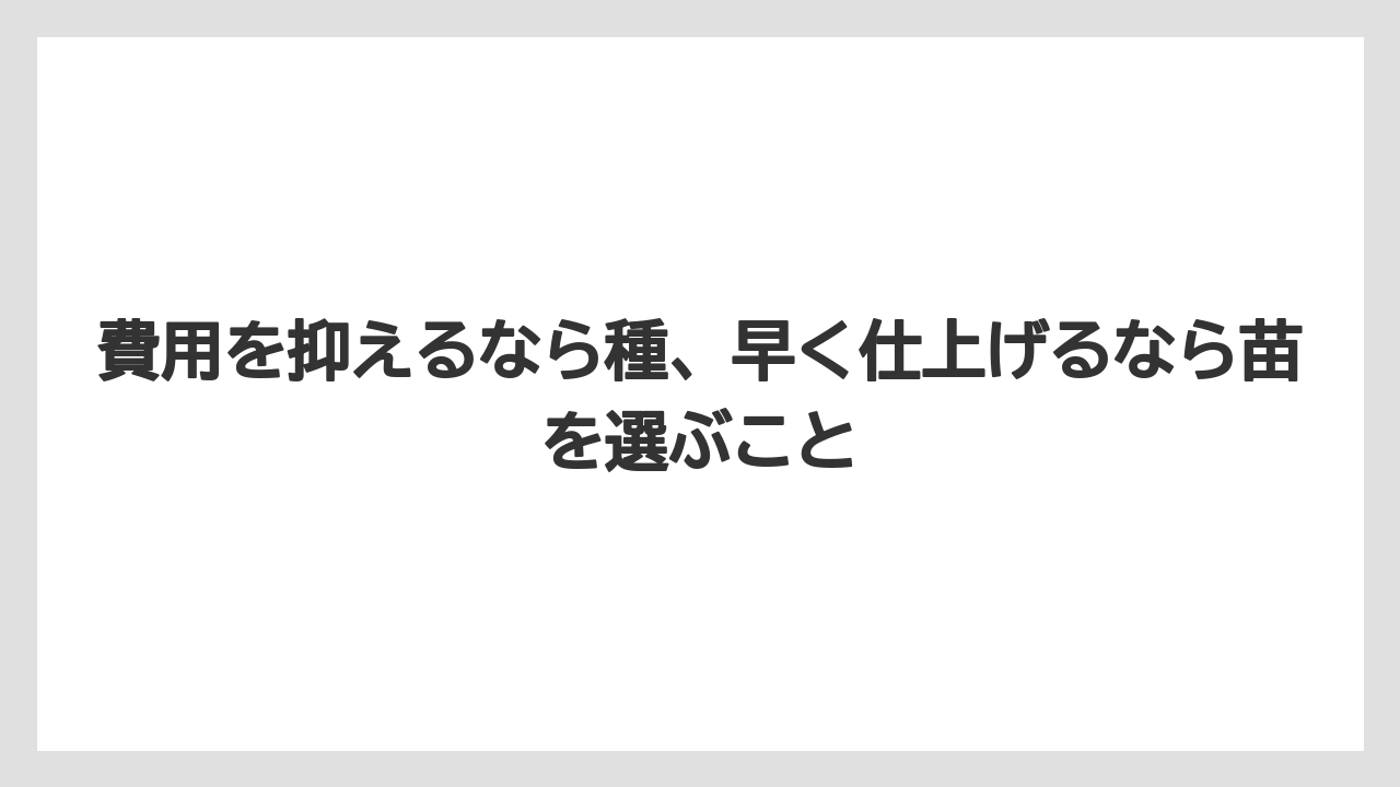 【栽培】【農園】【農業】費用を抑えるなら種、早く仕上げるなら苗を選ぶこと