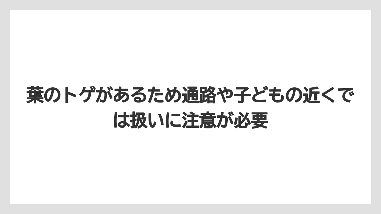 【栽培】【農園】【農業】葉のトゲがあるため通路や子どもの近くでは扱いに注意が必要