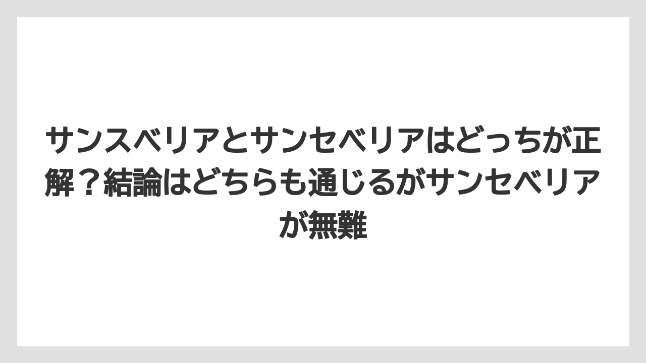 【サンスベリア】【サンセベリア】【栽培】【育て方】サンスベリアとサンセベリアはどっちが正解？結論はどちらも通じるがサンセベリアが無難
