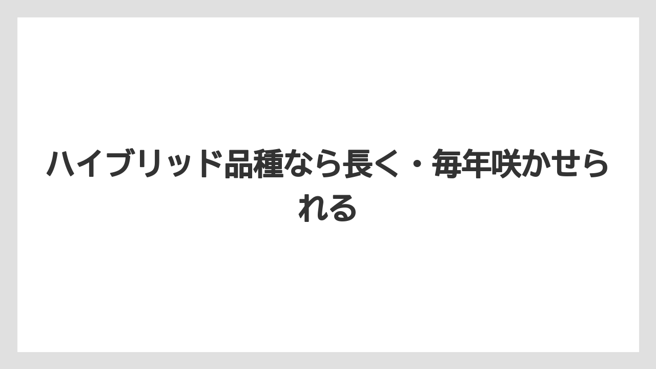 【栽培】【農園】【農業】ハイブリッド品種なら長く・毎年咲かせられる