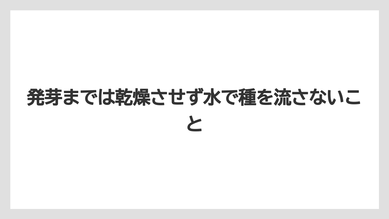 【栽培】【農園】【農業】発芽までは乾燥させず水で種を流さないこと