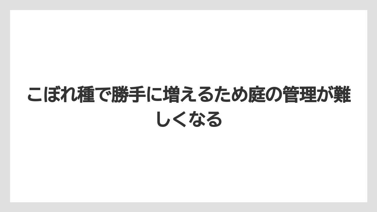 【栽培】【農園】【農業】こぼれ種で勝手に増えるため庭の管理が難しくなる