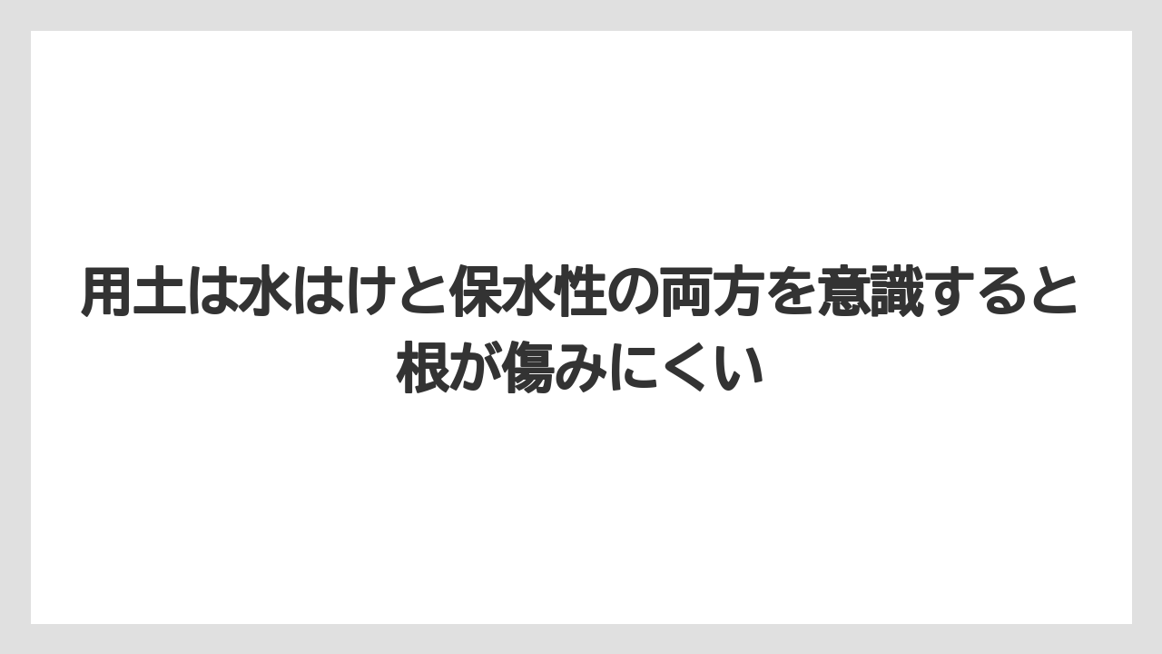 【バラ】【栽培】【肥料】用土は水はけと保水性の両方を意識すると根が傷みにくい
