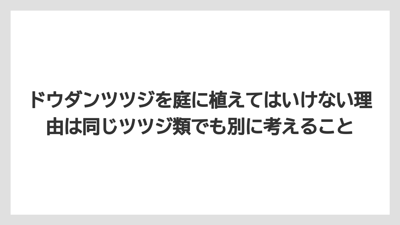 【いけない】【庭】【後悔】【栽培】【植え】ドウダンツツジを庭に植えてはいけない理由は同じツツジ類でも別に考えること