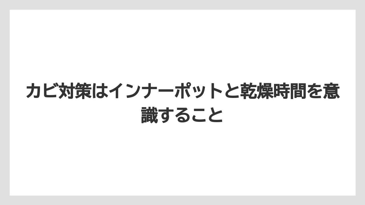 【100均】【サンスベリア】【パキラ】【モンステラ】【多肉植物】カビ対策はインナーポットと乾燥時間を意識すること