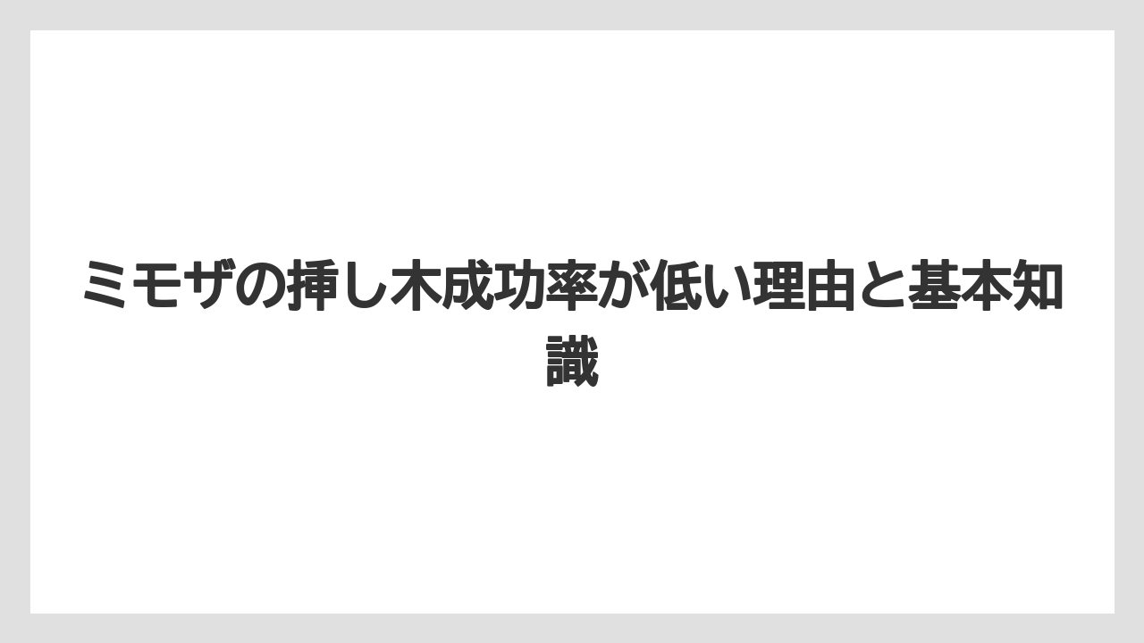 ミモザの挿し木成功率が低い理由と基本知識