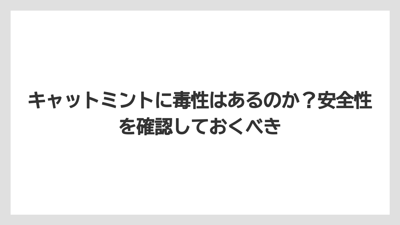 【ミント】【栽培】【猫】キャットミントに毒性はあるのか？安全性を確認しておくべき