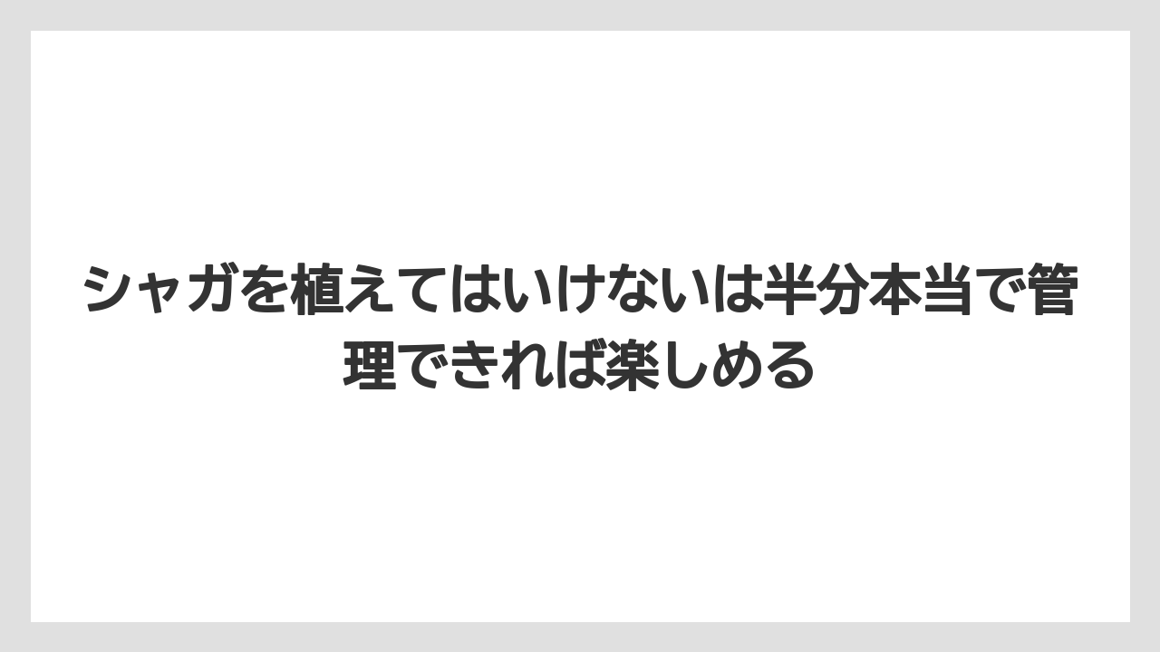 【ミント】【栽培】【猫】シャガを植えてはいけないは半分本当で管理できれば楽しめる