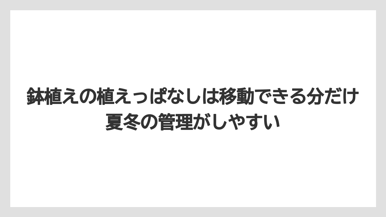 【栽培】【農園】【農業】鉢植えの植えっぱなしは移動できる分だけ夏冬の管理がしやすい