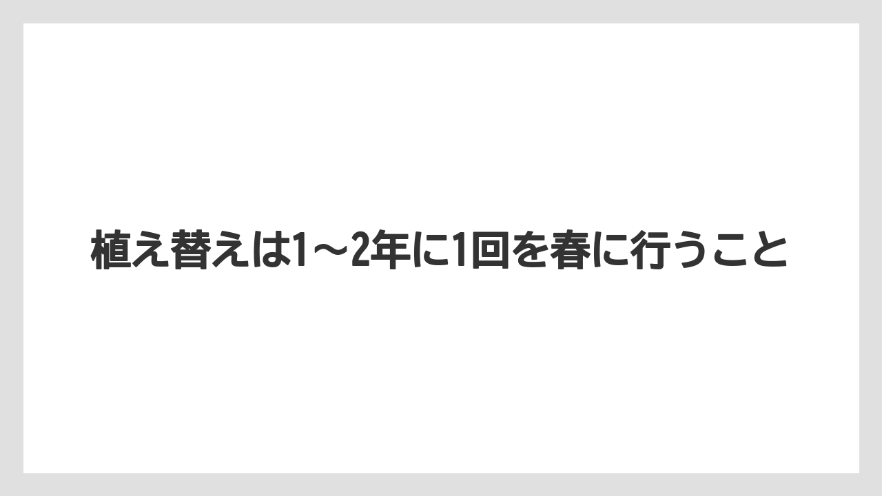 【サボテン】【栽培】【農業】植え替えは1〜2年に1回を春に行うこと