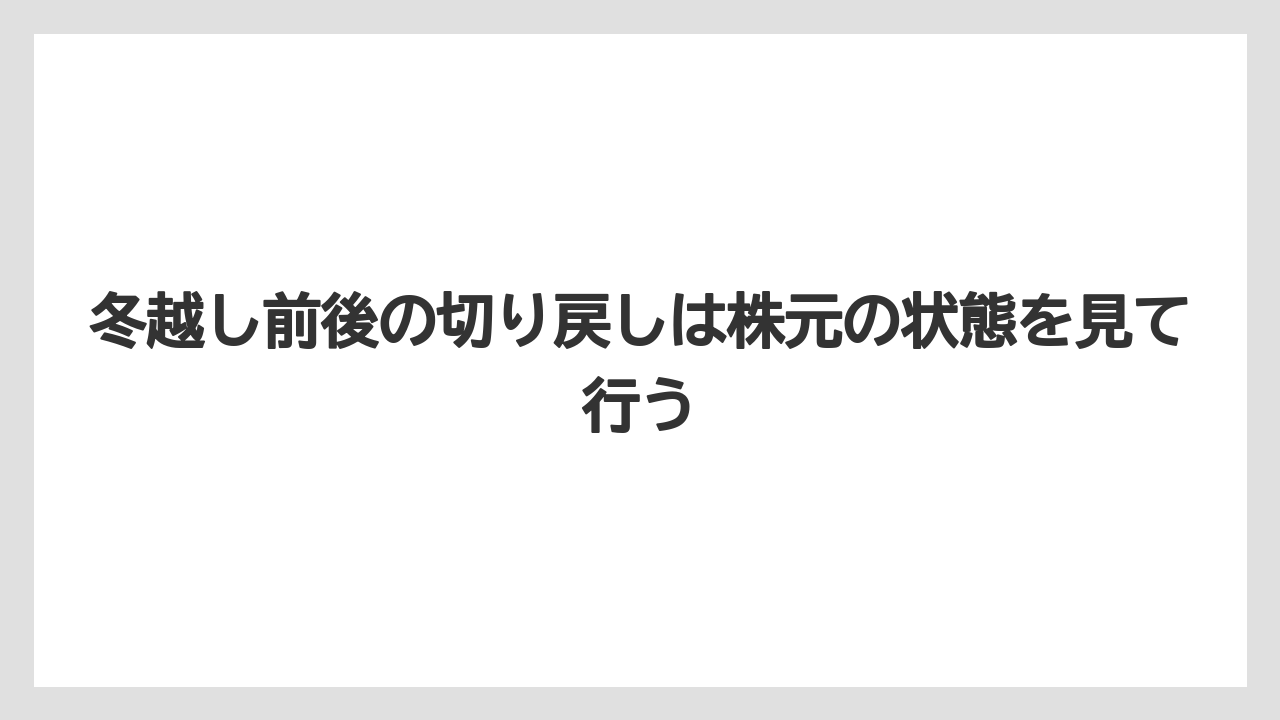 【栽培】【農園】【農業】冬越し前後の切り戻しは株元の状態を見て行う