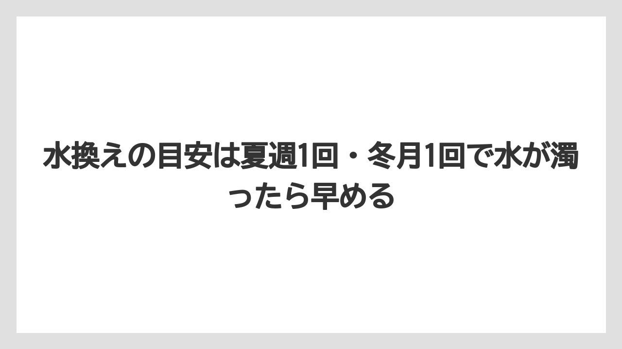 【栽培】【農園】【農業】水換えの目安は夏週1回・冬月1回で水が濁ったら早める
