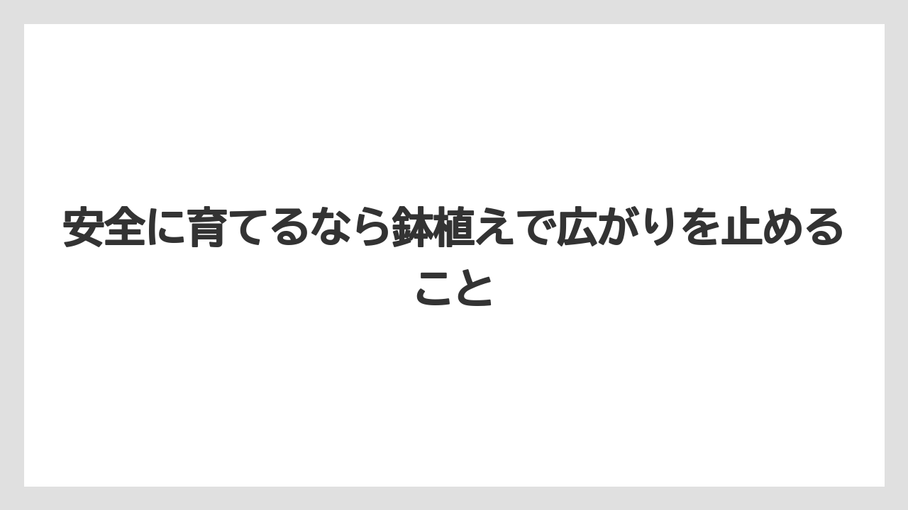 【いけない】【ハナニラ】【庭】【栽培】【植え】安全に育てるなら鉢植えで広がりを止めること
