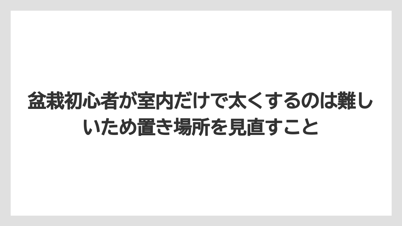 【100均】【もみじ】【ゼオライト】【バラ】【栽培】盆栽初心者が室内だけで太くするのは難しいため置き場所を見直すこと