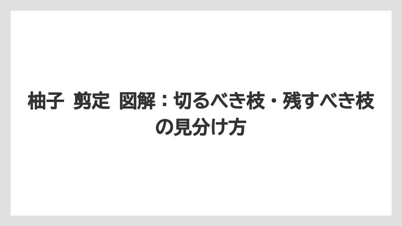 【栽培】【農園】【農業】柚子 剪定 図解：切るべき枝・残すべき枝の見分け方