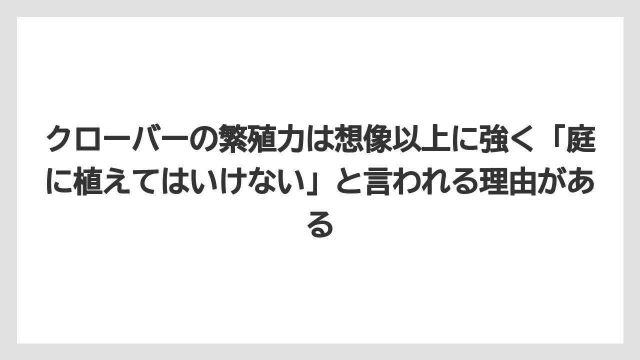 【栽培】【農園】【農業】クローバーの繁殖力は想像以上に強く「庭に植えてはいけない」と言われる理由がある