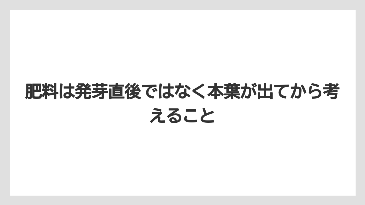 【100均】【栽培】【農業】肥料は発芽直後ではなく本葉が出てから考えること