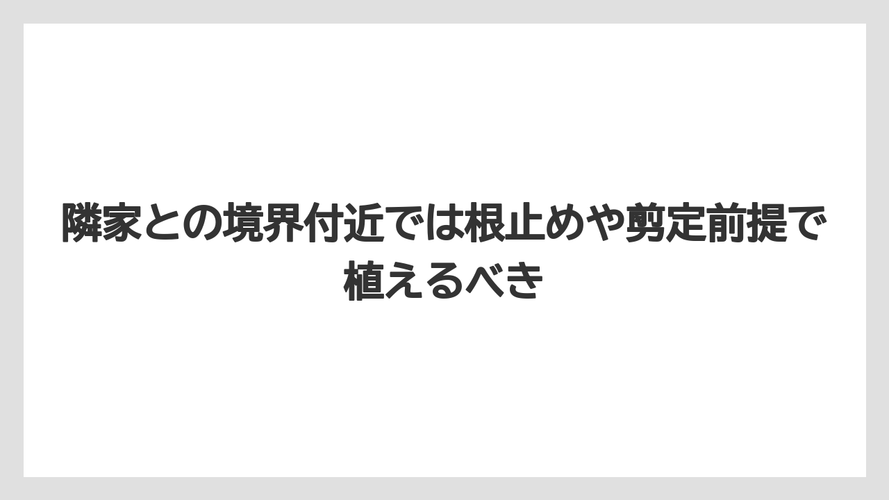 【いけない】【クリーピング】【庭】【後悔】【植え】隣家との境界付近では根止めや剪定前提で植えるべき