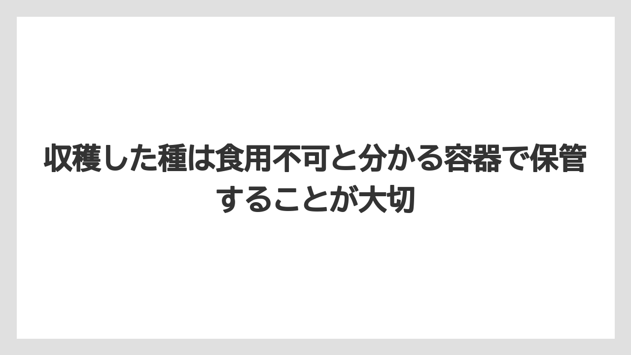【栽培】【農園】【農業】収穫した種は食用不可と分かる容器で保管することが大切