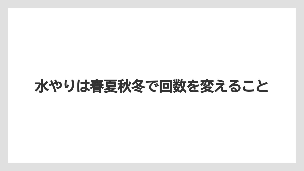 【サンスベリア】【サンセベリア】【栽培】水やりは春夏秋冬で回数を変えること