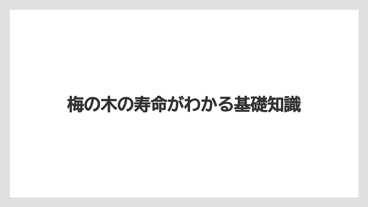 梅の木の寿命がわかる基礎知識