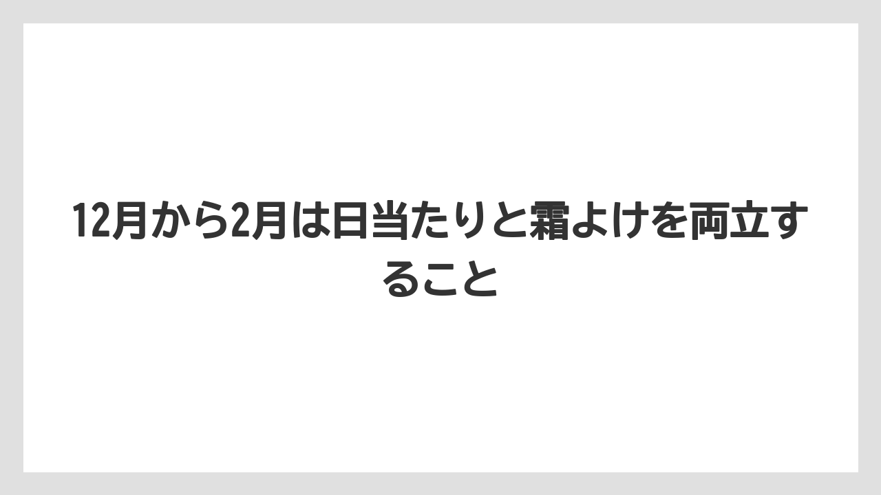 【栽培】【農園】【農業】12月から2月は日当たりと霜よけを両立すること
