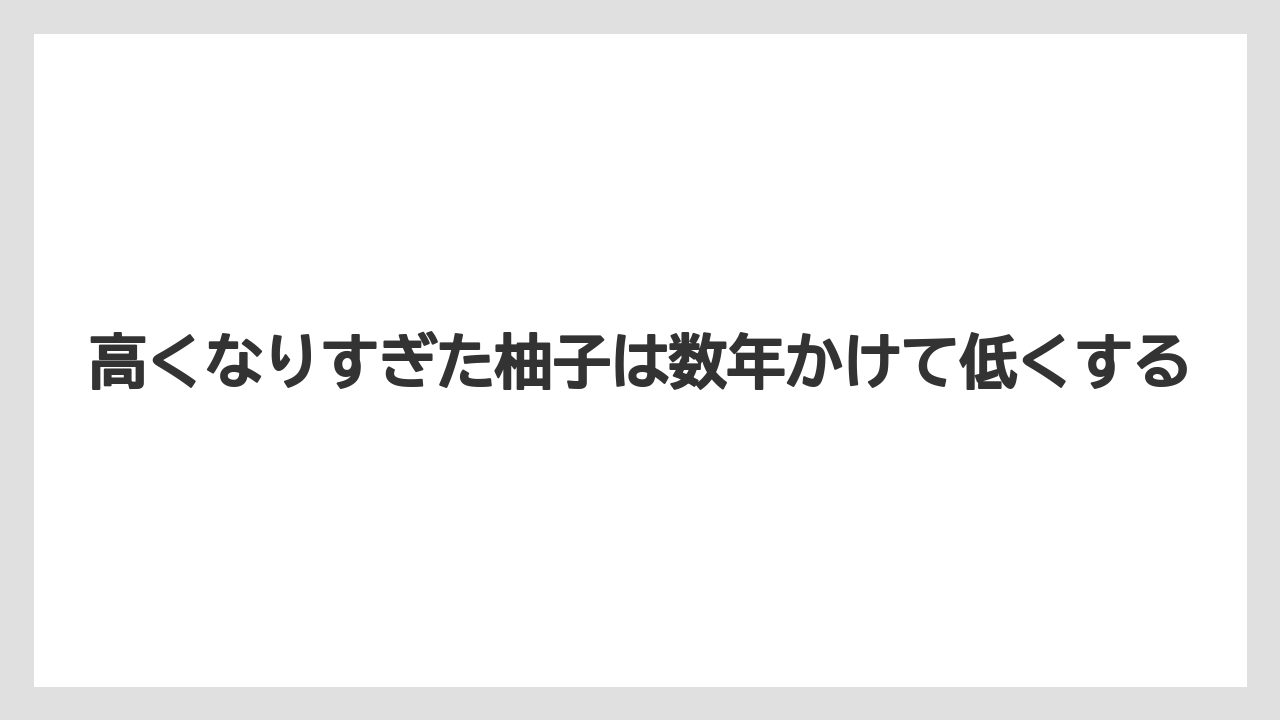 【剪定】【栽培】【農業】高くなりすぎた柚子は数年かけて低くする