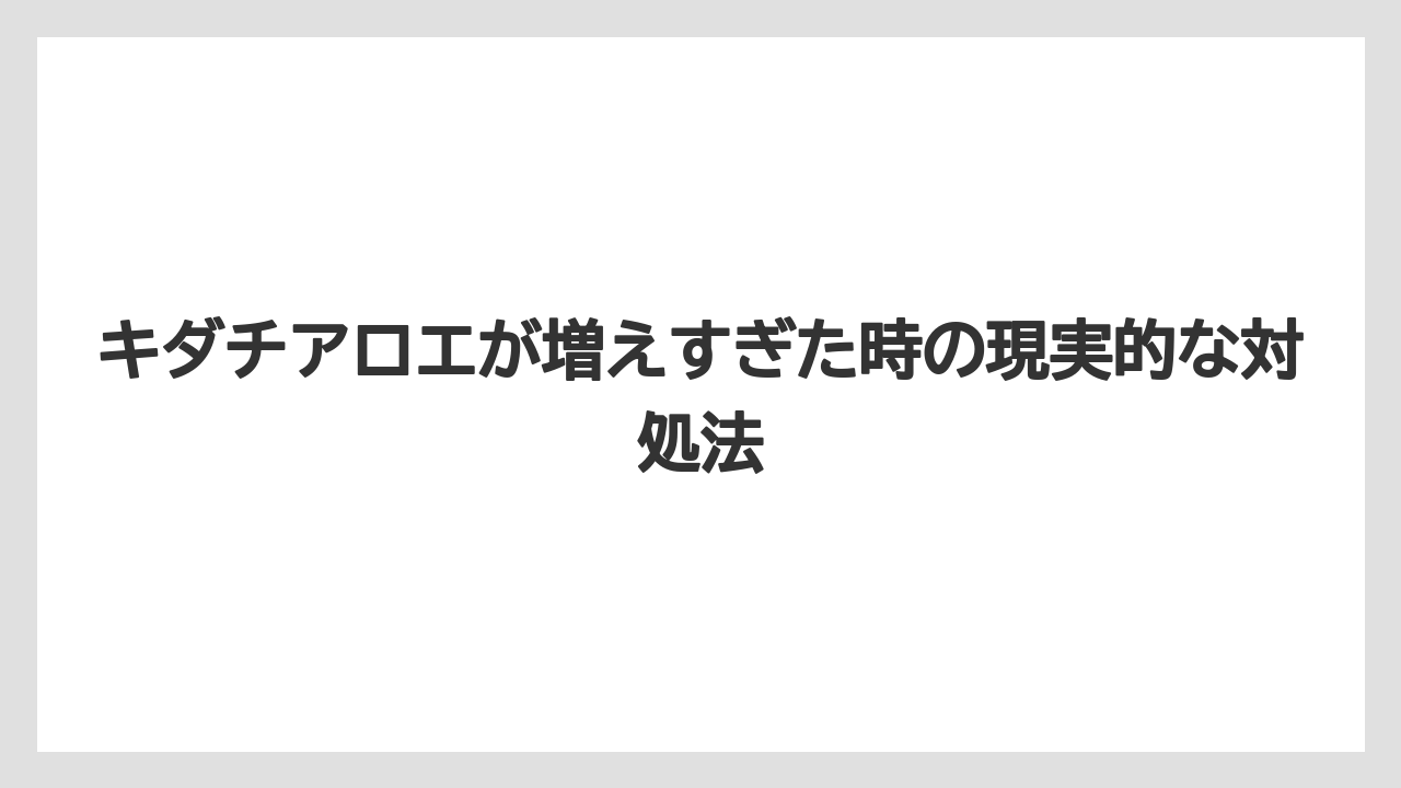 キダチアロエが増えすぎた時の現実的な対処法