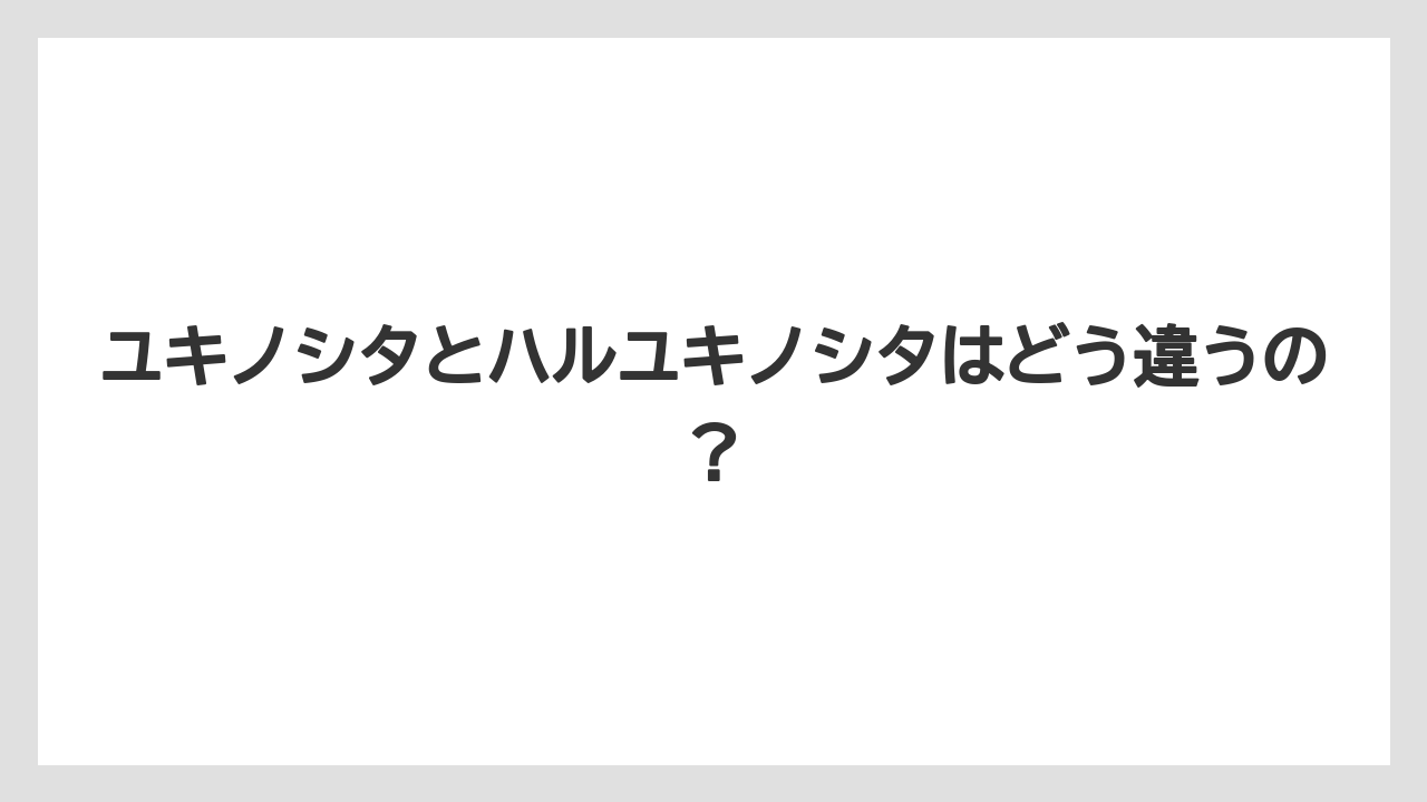 【栽培】【農園】【農業】ユキノシタとハルユキノシタはどう違うの？