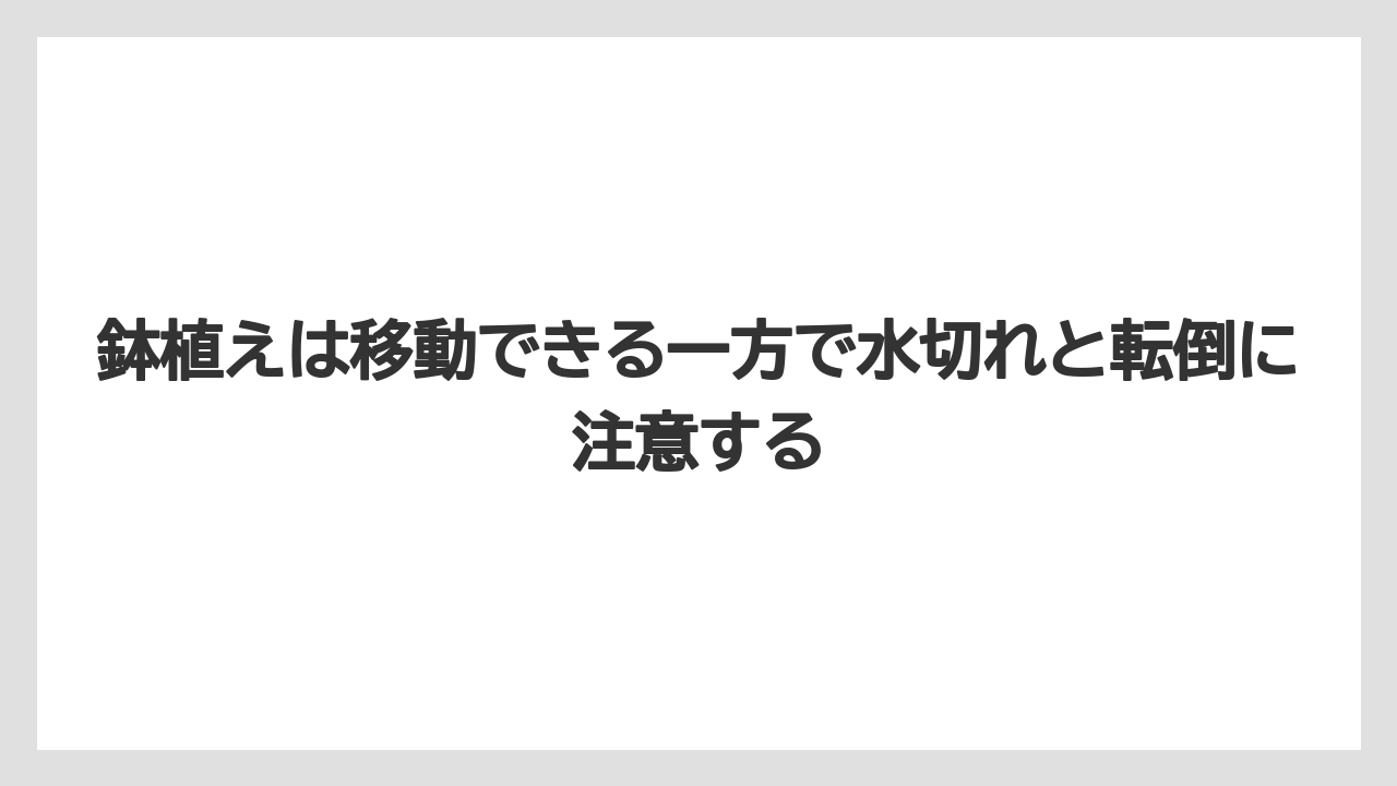 【栽培】【農園】【農業】鉢植えは移動できる一方で水切れと転倒に注意する