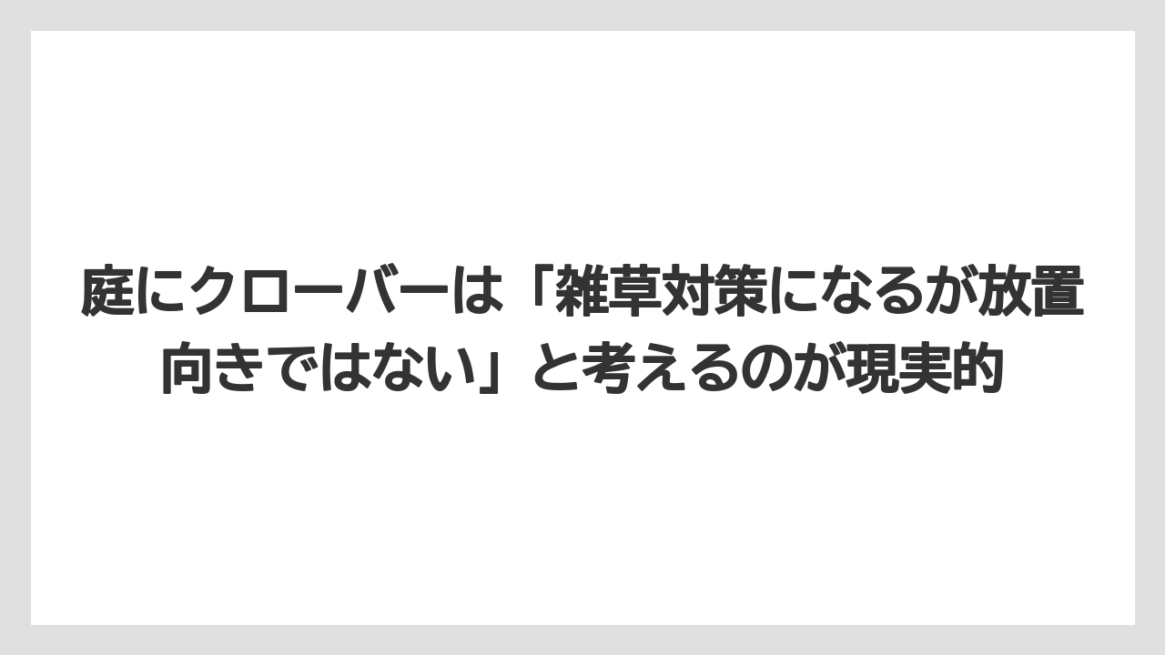 庭にクローバーは「雑草対策になるが放置向きではない」と考えるのが現実的