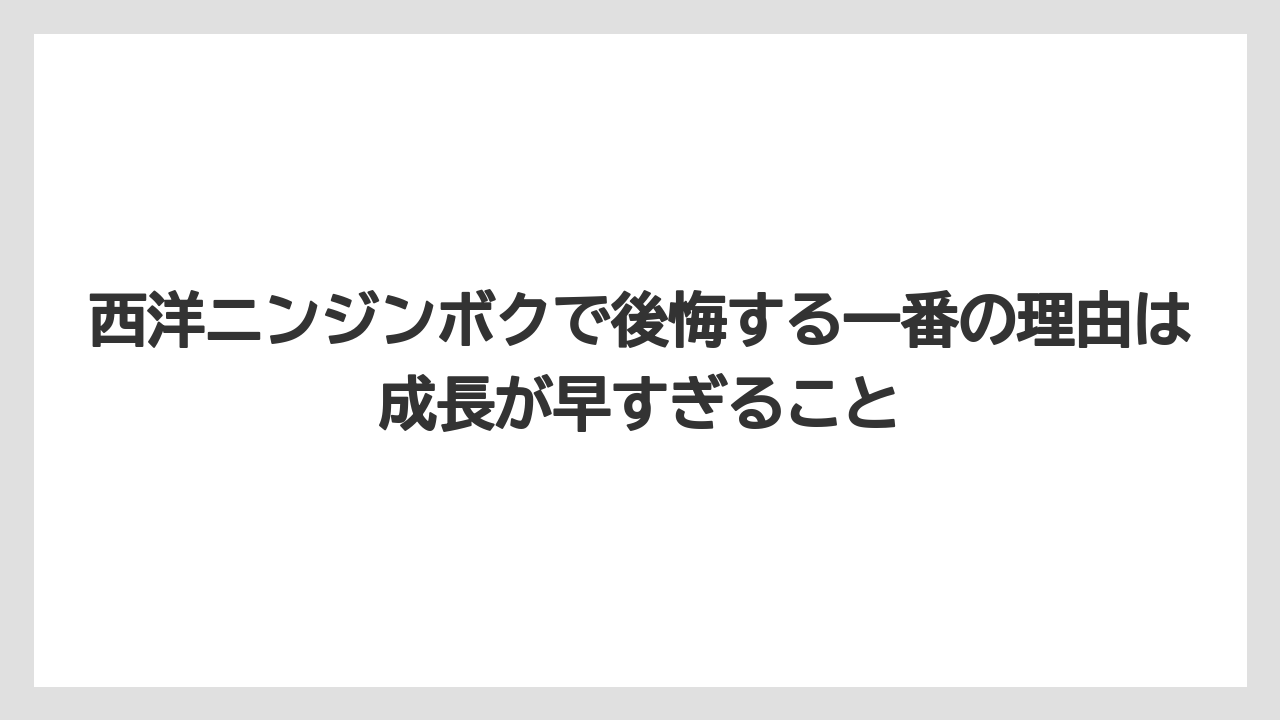 【ニンジン】【庭】【後悔】【栽培】西洋ニンジンボクで後悔する一番の理由は成長が早すぎること