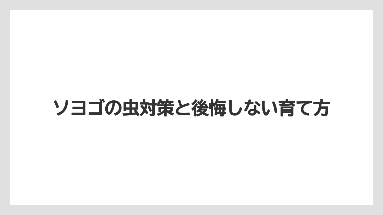 【ソヨゴ】【栽培】【農業】虫こぶはすぐ害虫扱いせず発生量で判断すること