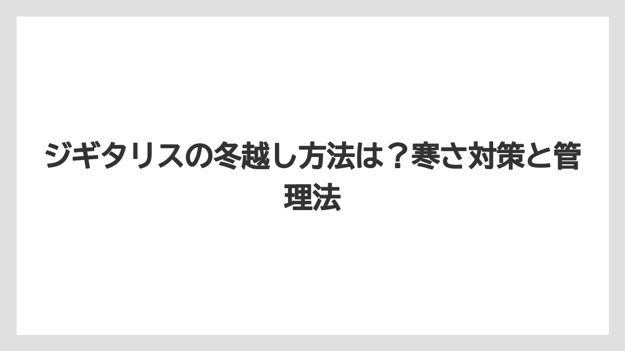【栽培】【農園】【農業】ジギタリスの冬越し方法は?寒さ対策と管理法