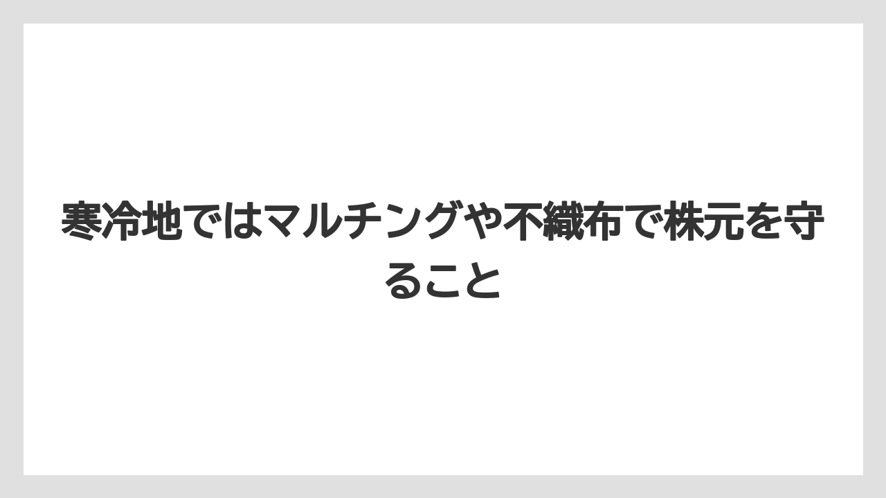 【栽培】【肥料】【農業】寒冷地ではマルチングや不織布で株元を守ること