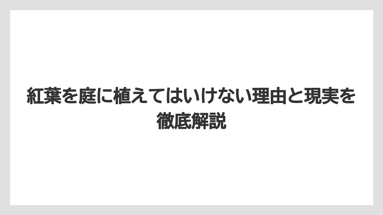 紅葉を庭に植えてはいけない理由と現実を徹底解説