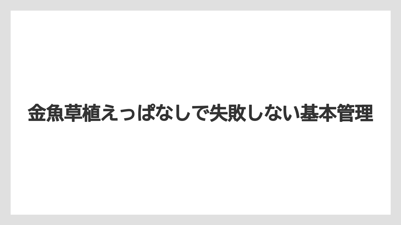 金魚草植えっぱなしで失敗しない基本管理
