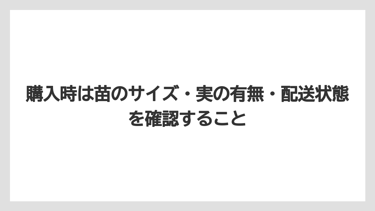 【栽培】【農園】【農業】購入時は苗のサイズ・実の有無・配送状態を確認すること